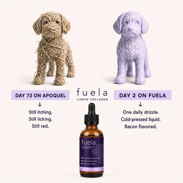 Fuela Premium Liquid Collagen