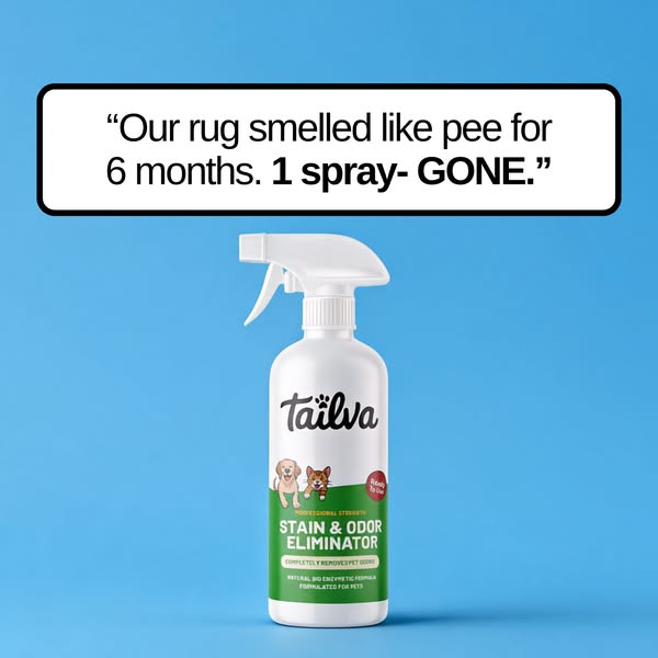 Animal Shelters Use This to Erase Stains & Odors