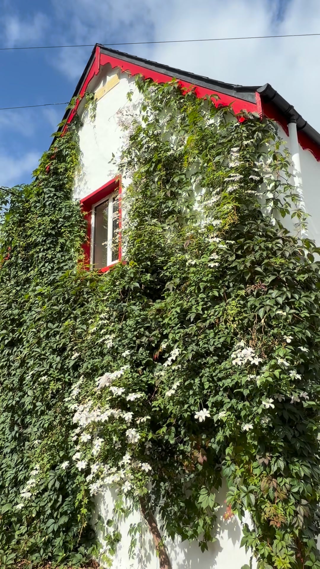 OWN A 3-BED COTTAGE OR €250K FOR €2.99!
