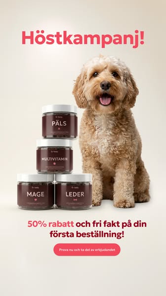 Höstkampanj 50% och fri frakt!