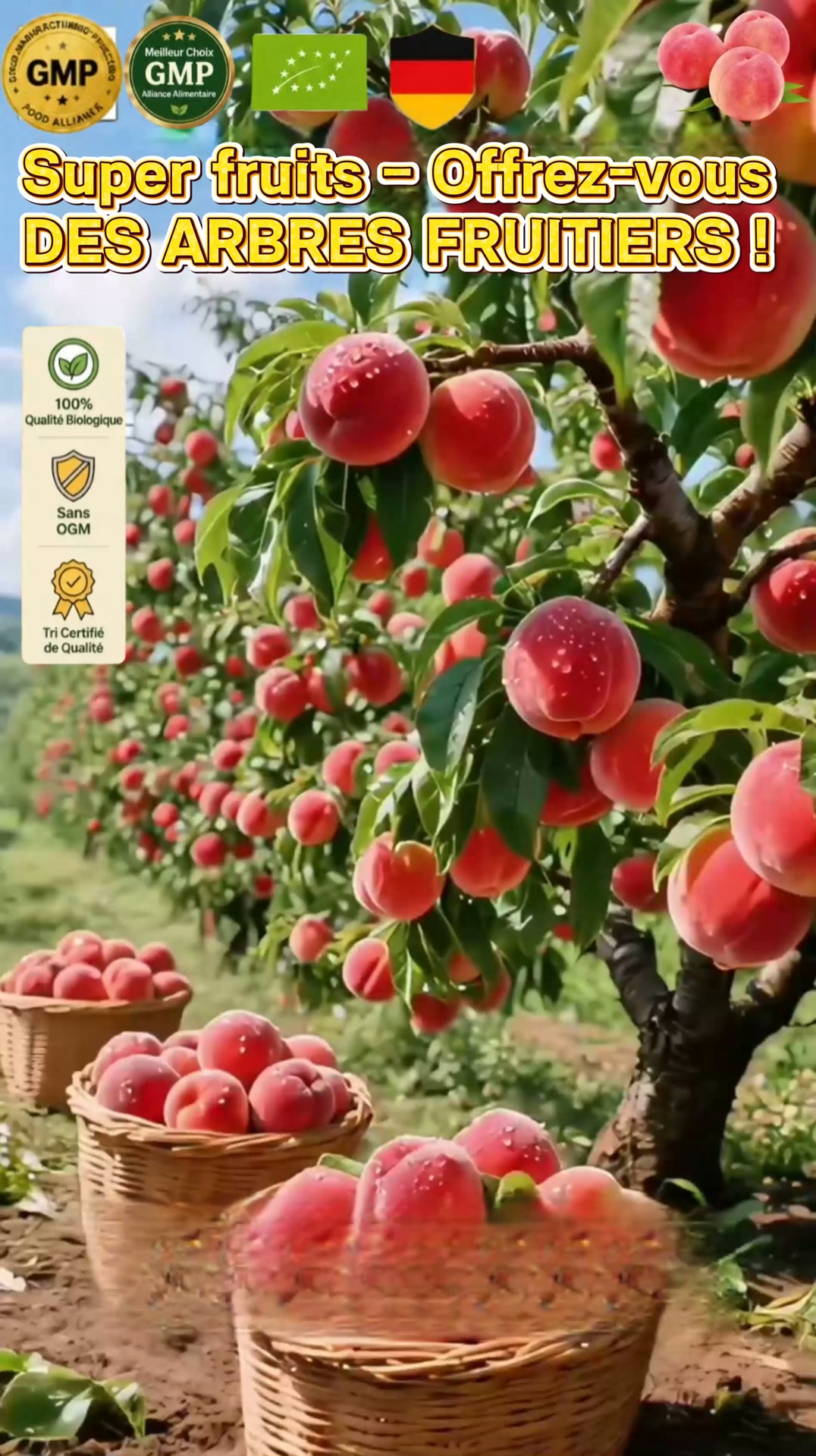 " Offrez-vous des arbres fruitiers chez vous: pêches bio, -50% aujourd'hui."