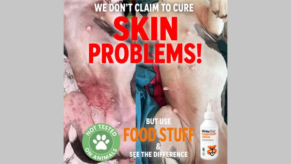 Itchy Dog? Support Their Skin From Within