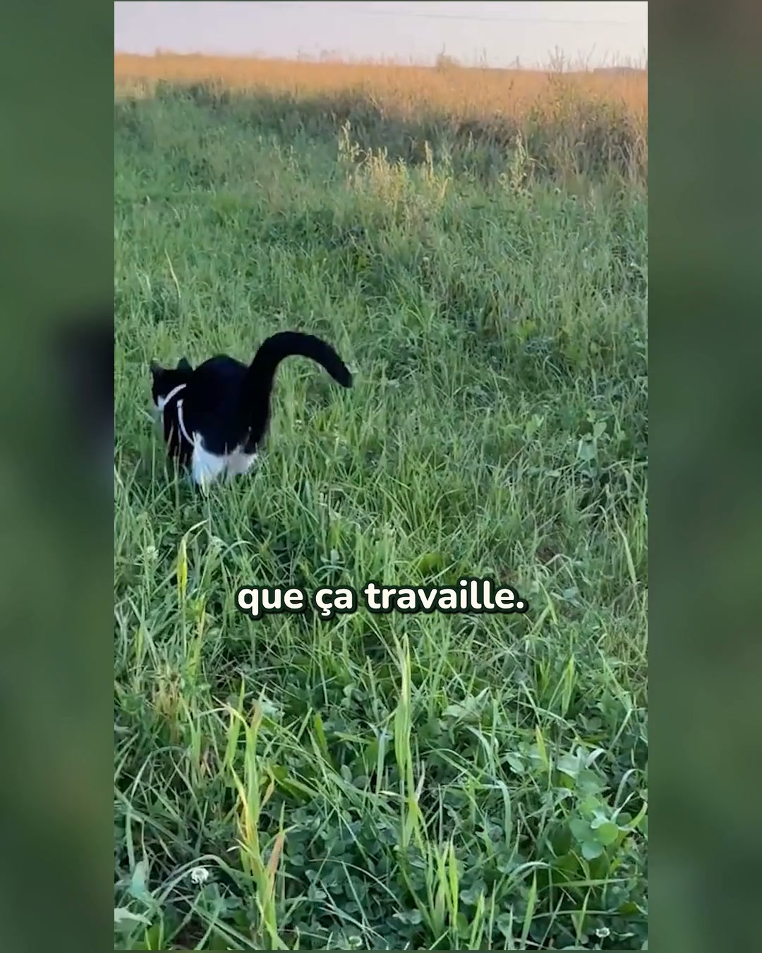 Soulage ses articulations