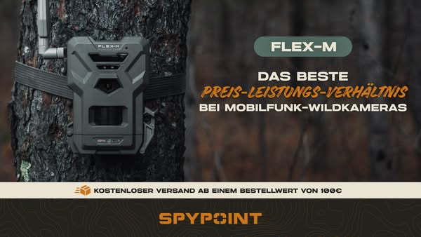 FLEX-M + 100 KOSTENLOSE FOTOS/MONAT