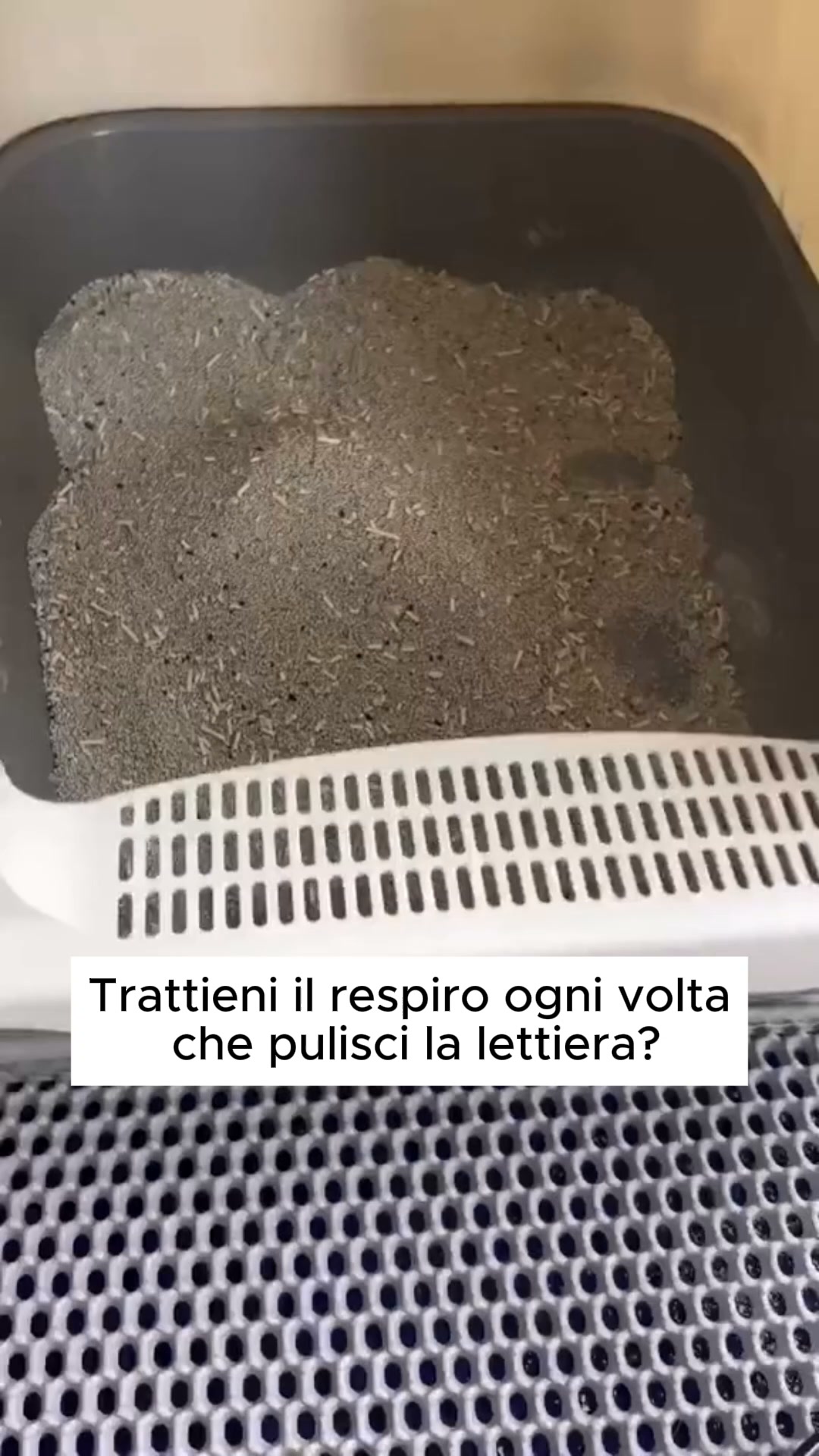 Mai più odore di lettiera