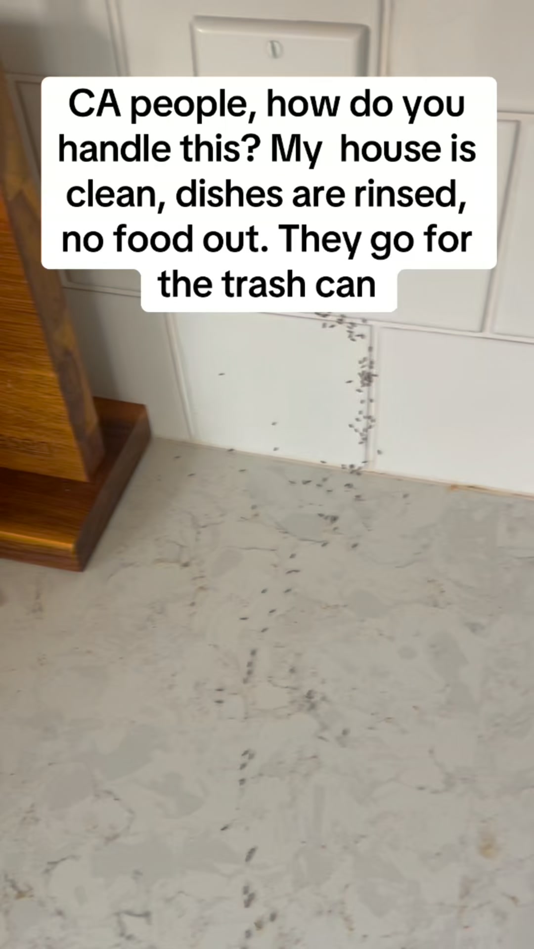 Kills the Nest, Not Just What You See