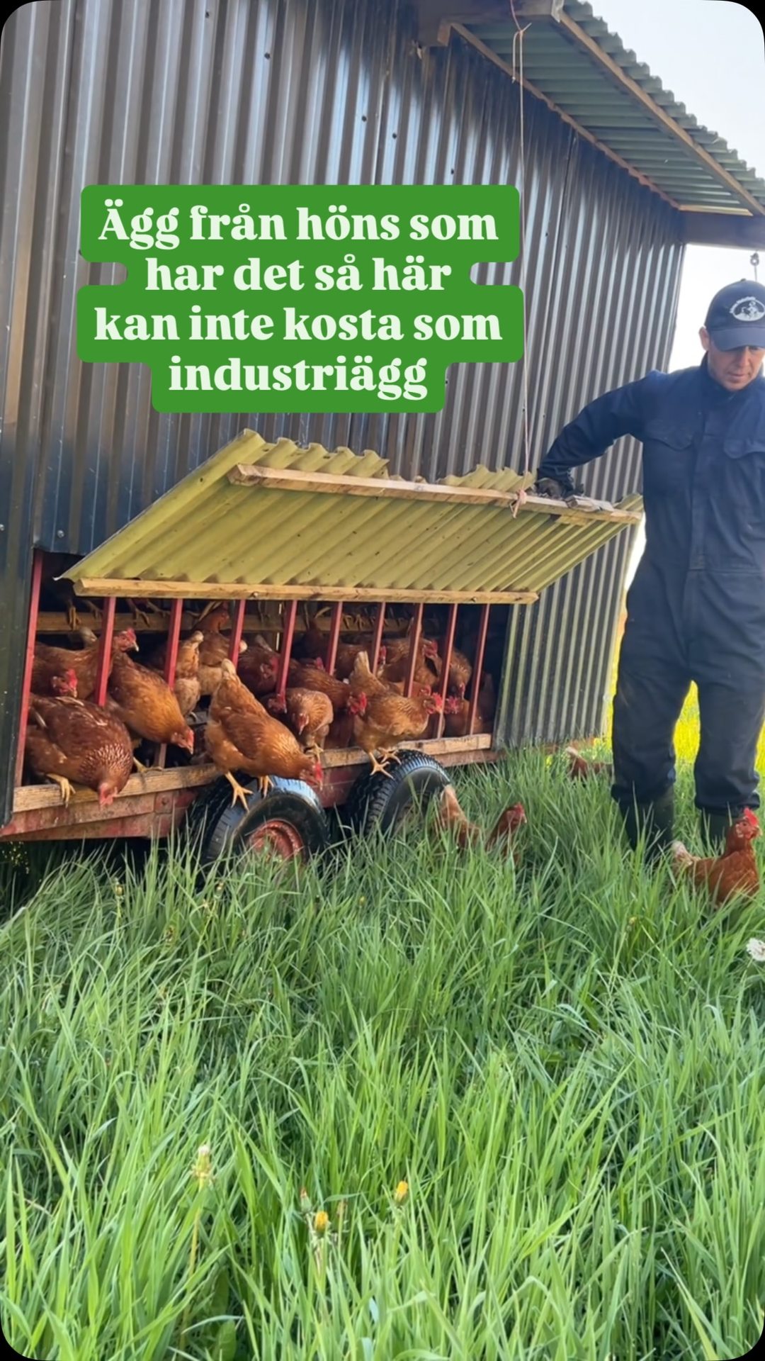 Anúncio de Gårdens Mathantverk