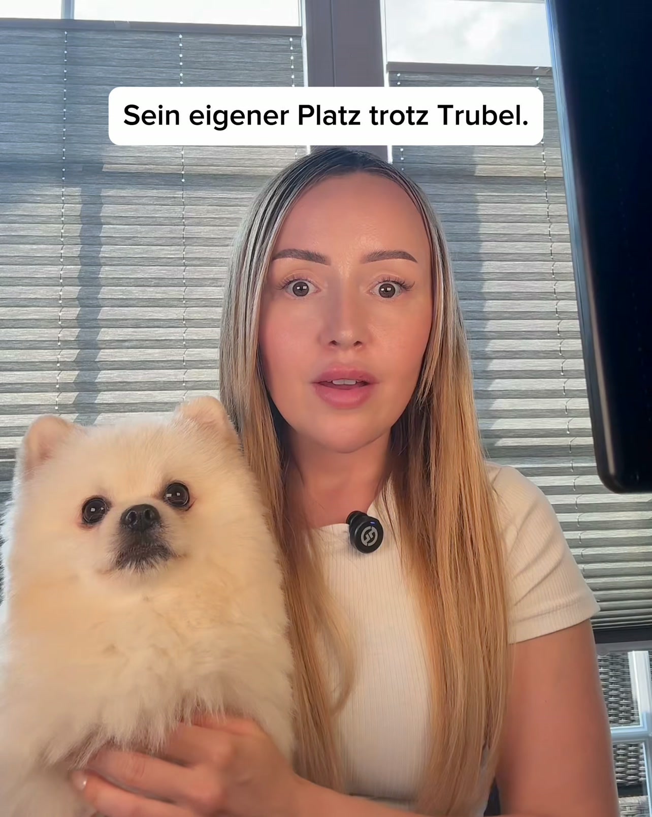 Jetzt 50 % reduziert · 30 Tage risikofrei testen