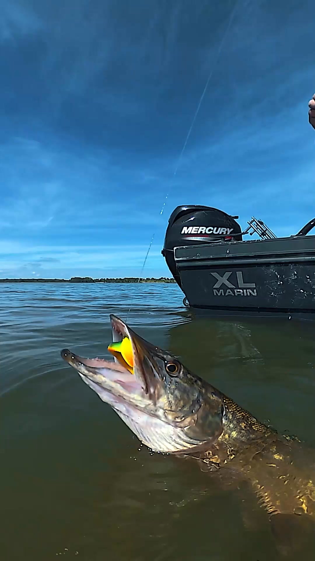 Lake X Pike
