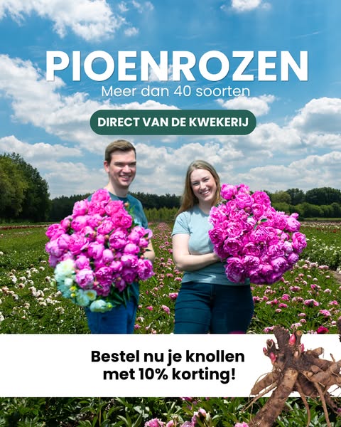 Shop nu met 10% korting!