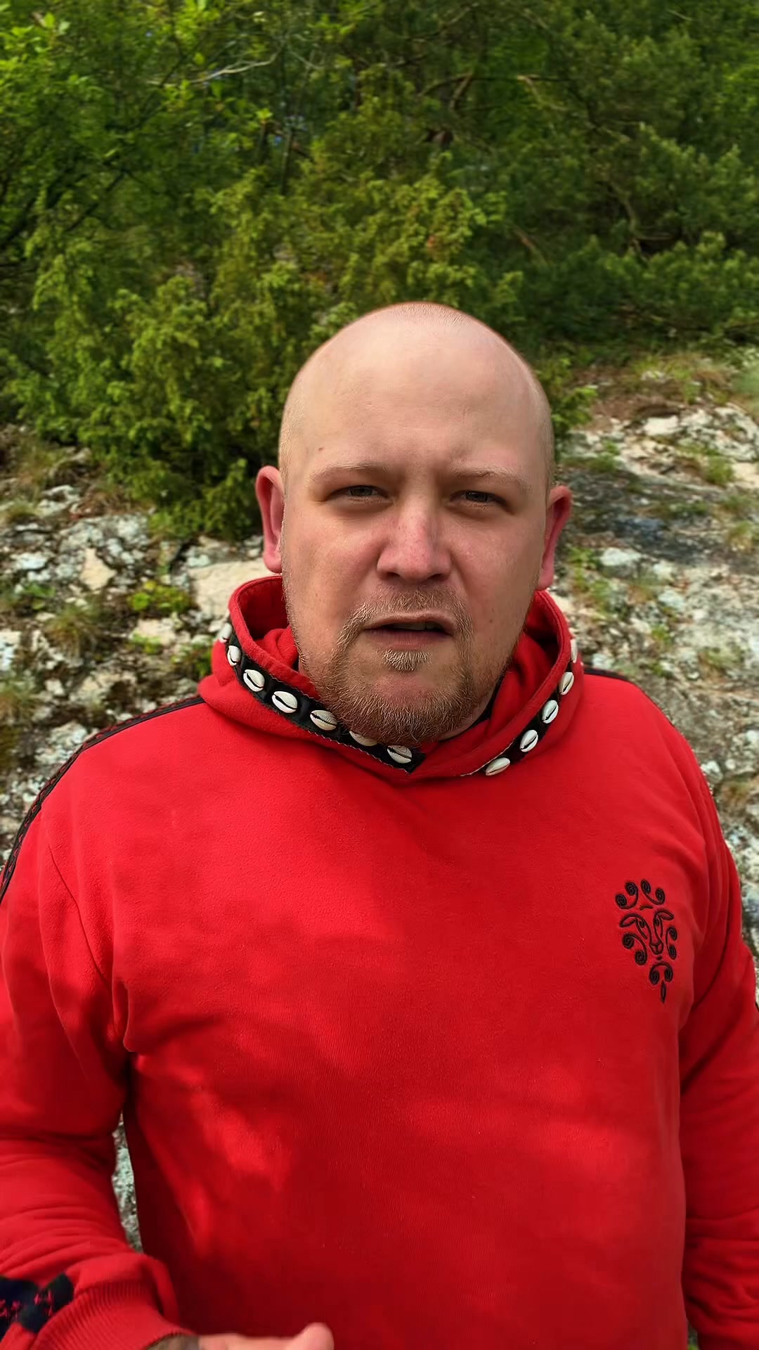 Zobacz, co jest w środku