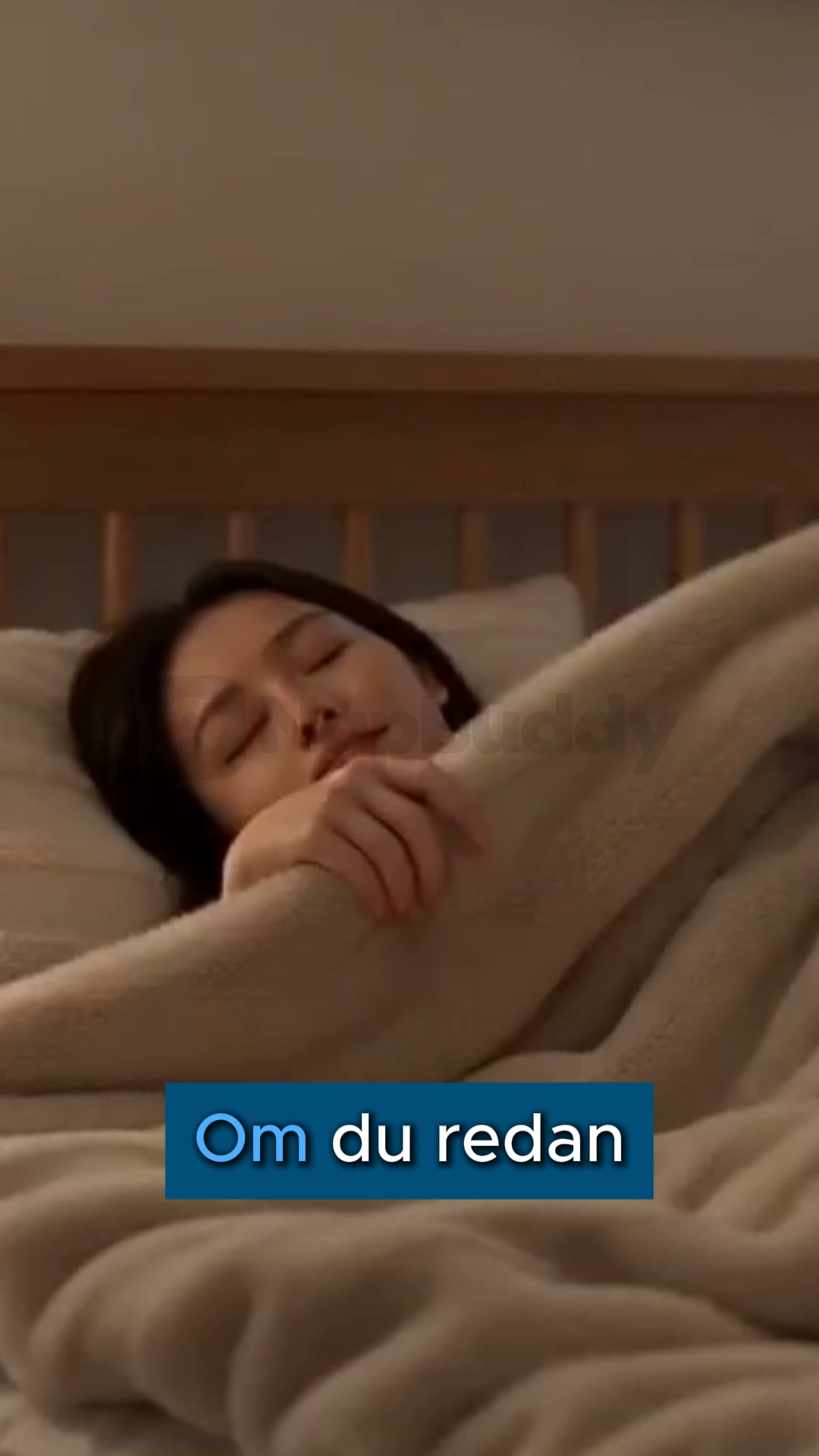 Byt ut täcket mot NapBuddy