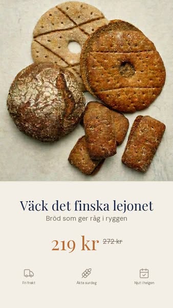 Väck det finska lejonet – 219 kr (ord. 272 kr)