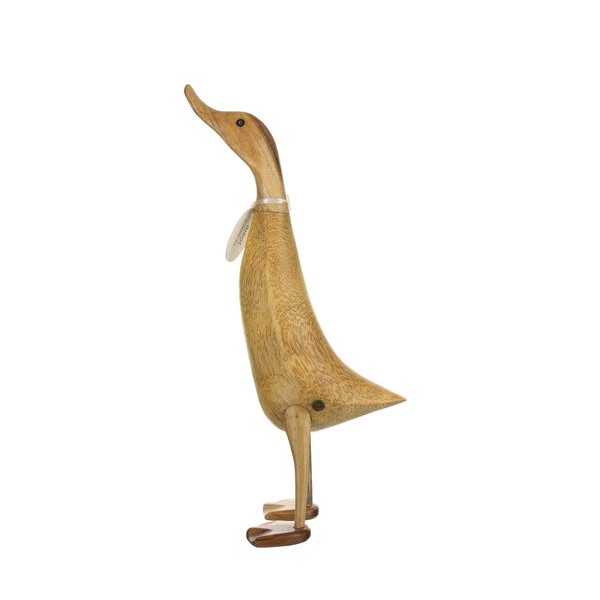 Natural Ducklet Pose 6