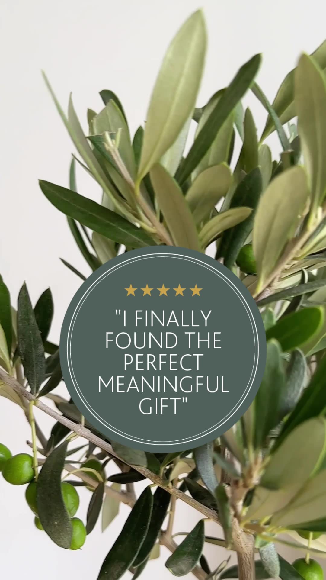Beautifully Wrapped Tree Gifts