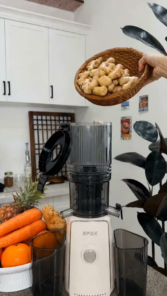 49,99 € pour votre jus frais maison chaque matin – fini la centrifugeuse bruyante et le gaspillage