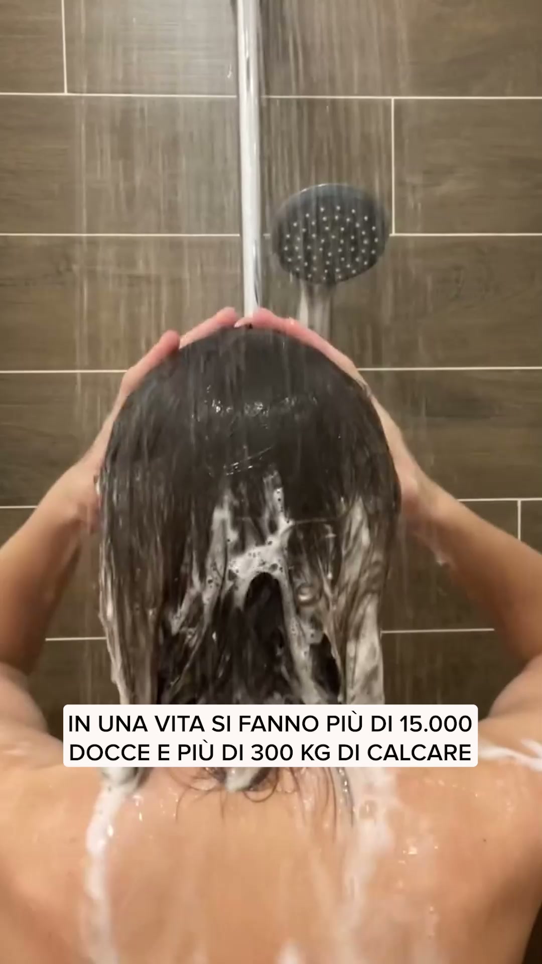 Spedizione Gratuita