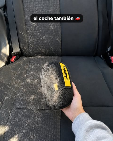 Quita el pelo del coche en segundos