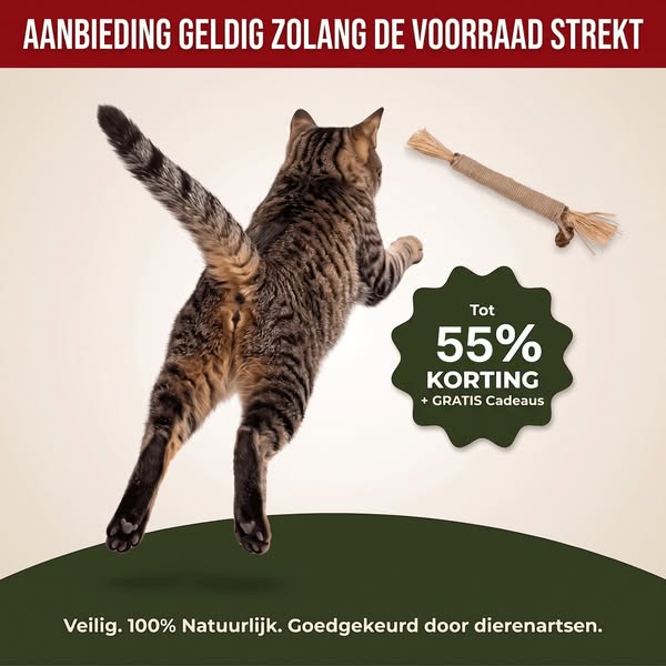 September Aanbieding: Korting + Gratis Cadeaus