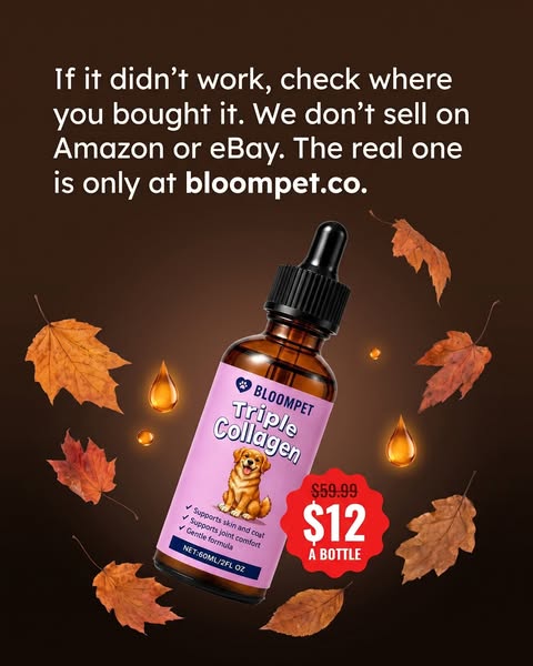Didn't work? Check where you bought it.