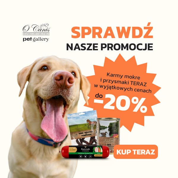 PROMOCJA DO -20%
