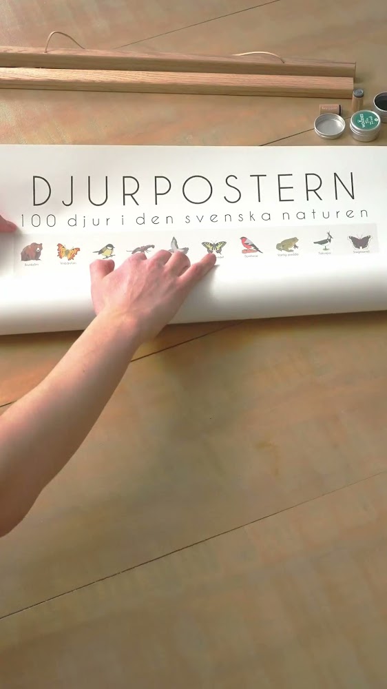 100 djur från Sverige - på en poster