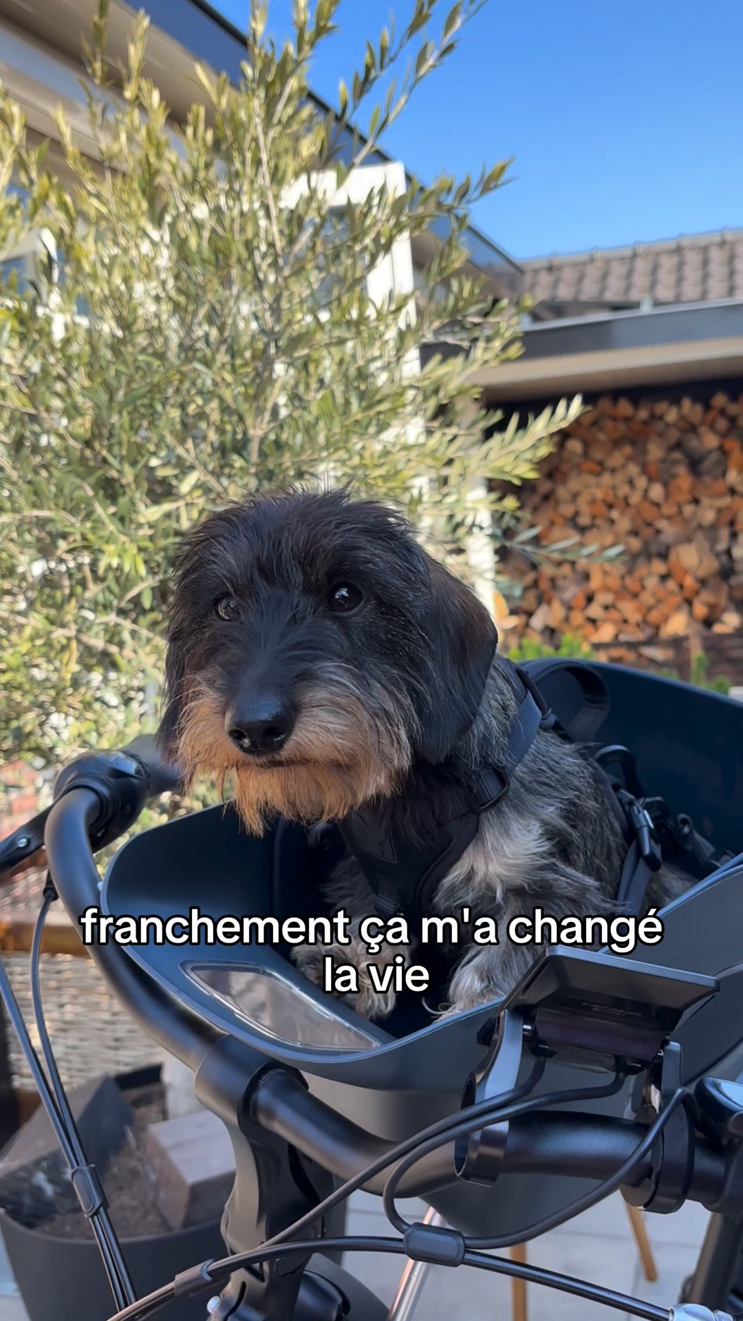 Offre limitée : 20 € de réduction