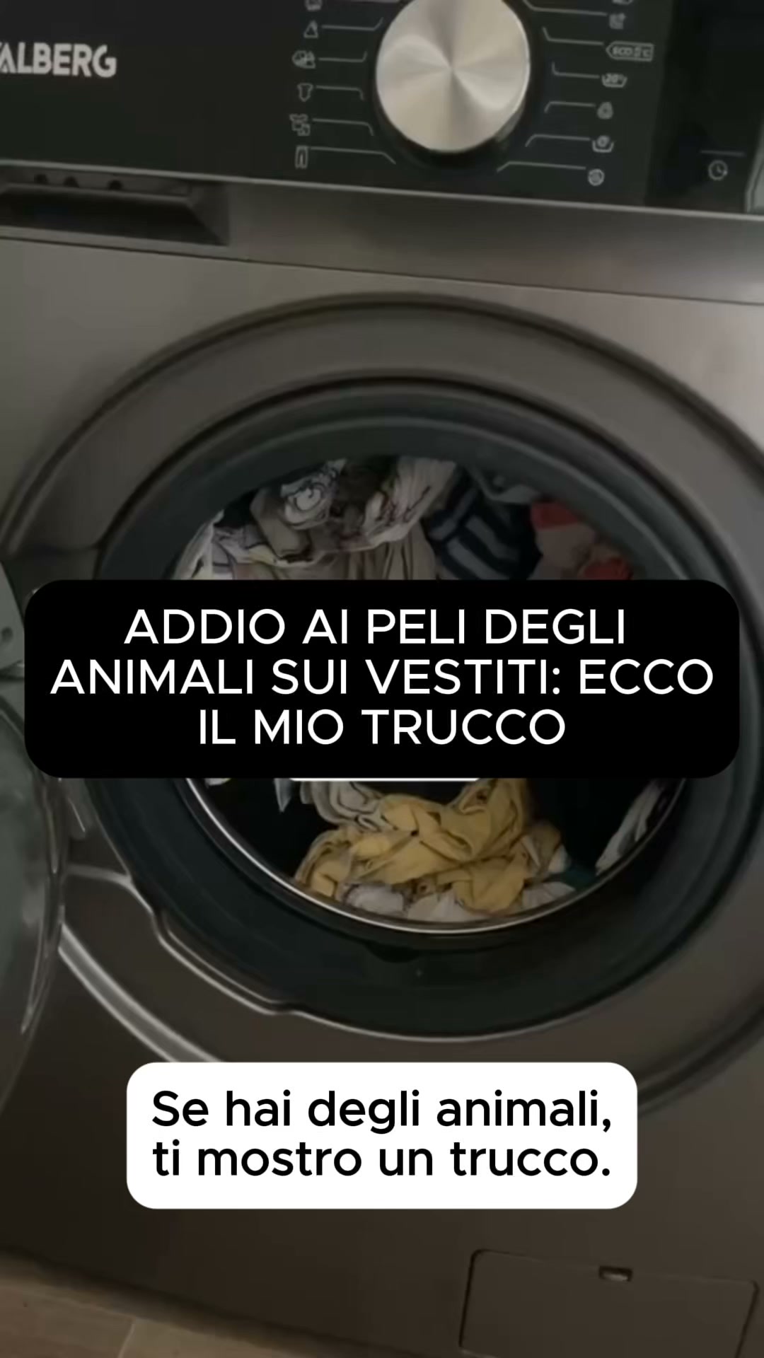 3 gatti e mai un pelo sui miei vestiti