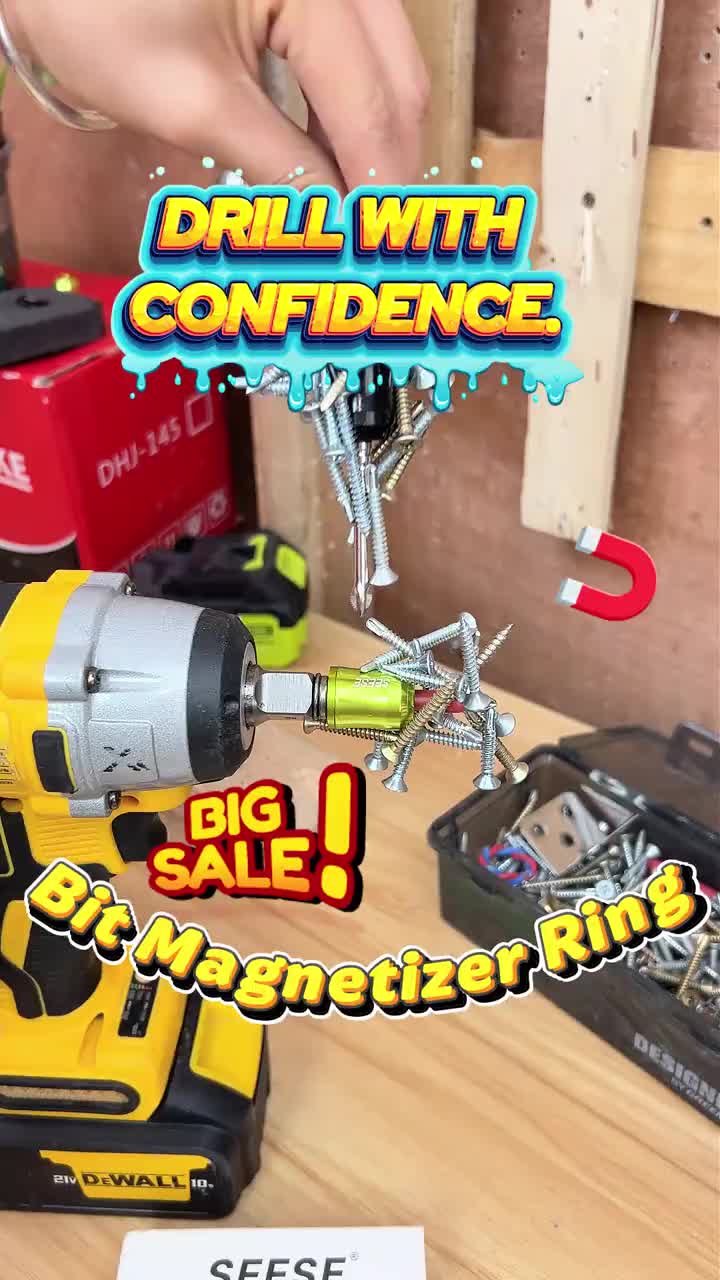 Magnetizer and Demagnetizer Tool Set