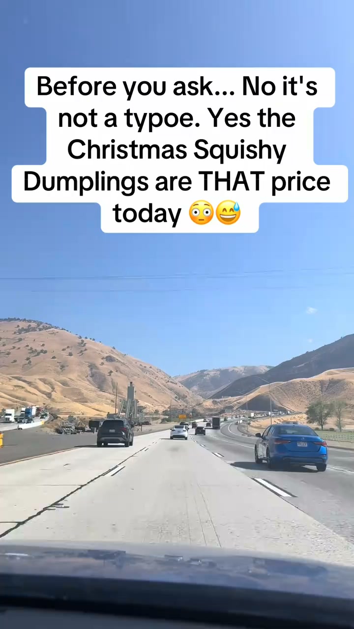 24 Days of Squishy Surprises