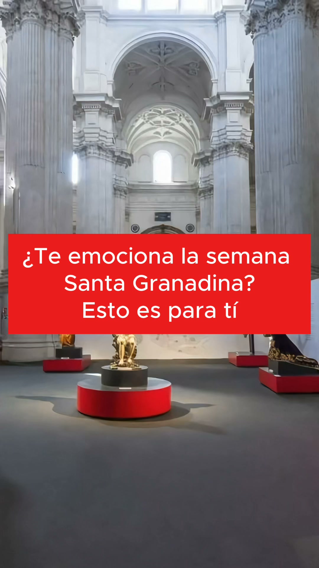¡CATÁLOGO OFICIAL YA DISPONIBLE!