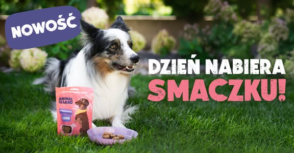 Smaczki dla psa