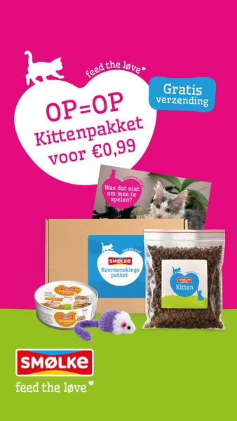 Bestel je kittenpakket!