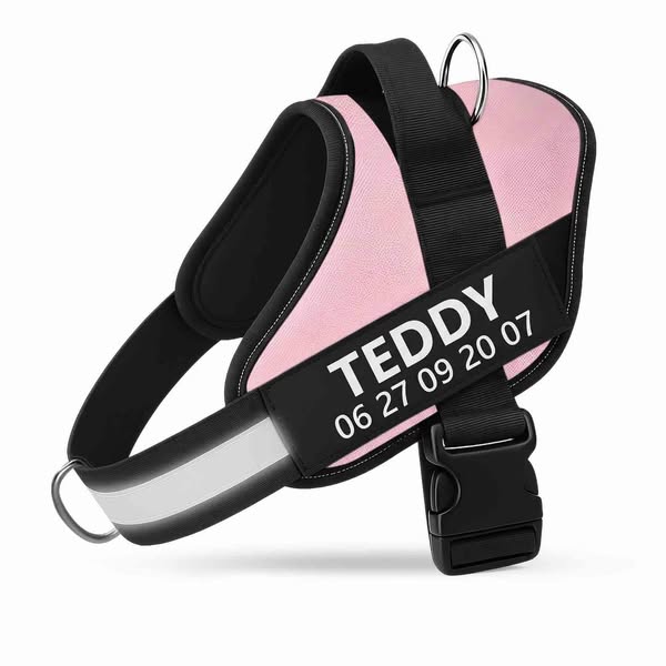 Gepersonaliseerd Anti-Trek Tuigje - €39.95