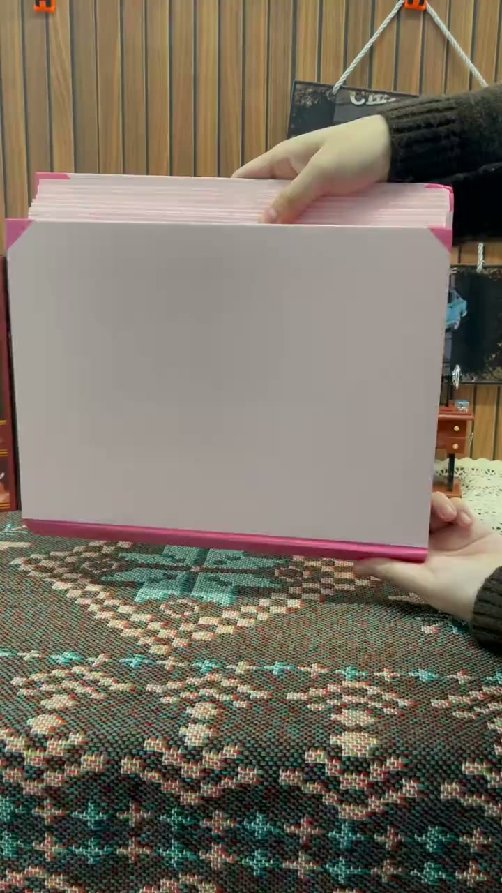 Accordion File Organizer