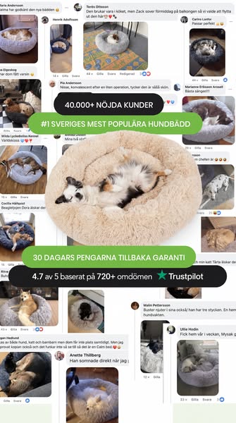 Snabb & Gratis Frakt
