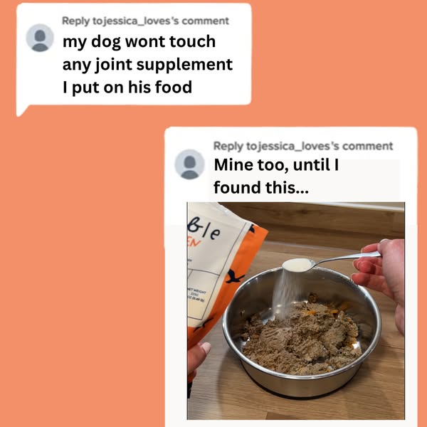 Fussy eater? He'll still clean the bowl.