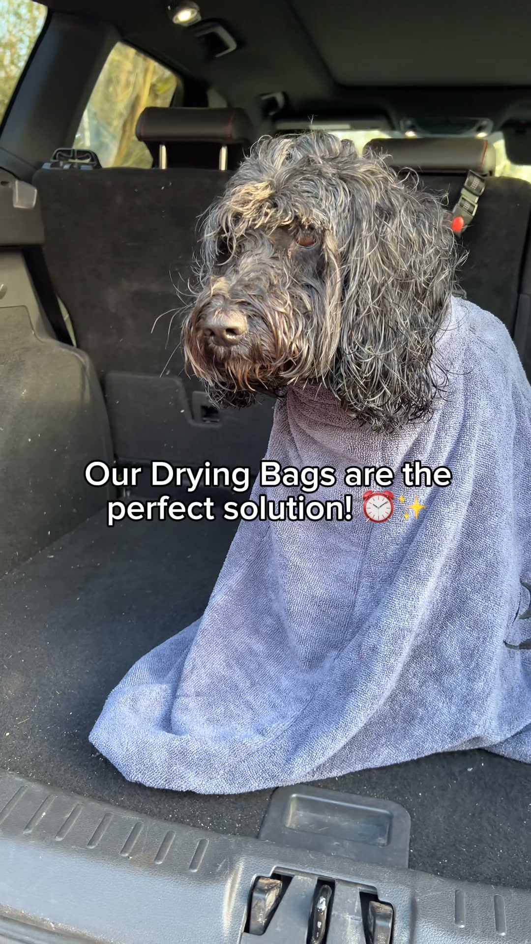 No More Muddy Paw Prints!