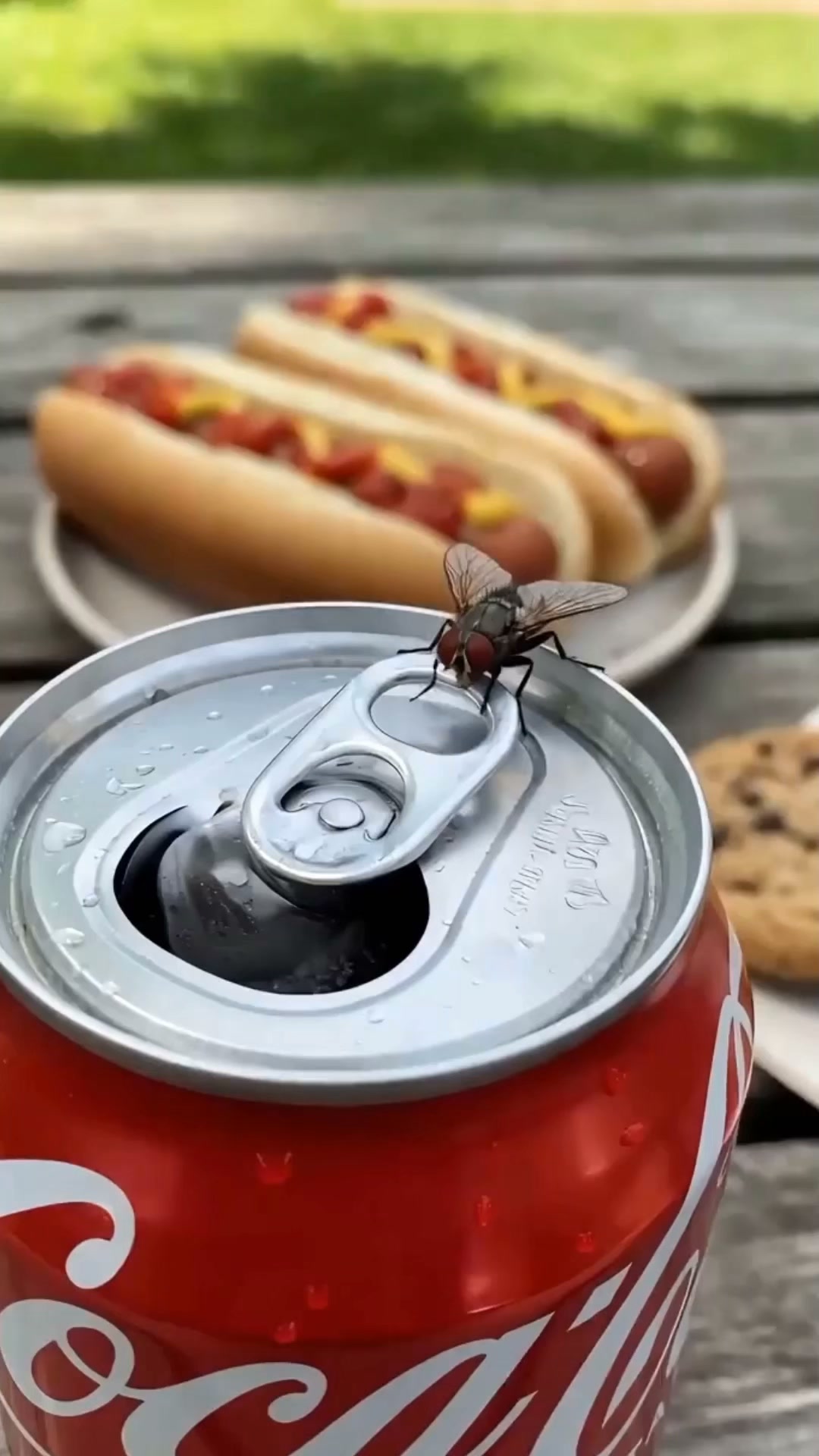 Reusable Soda Can Lid