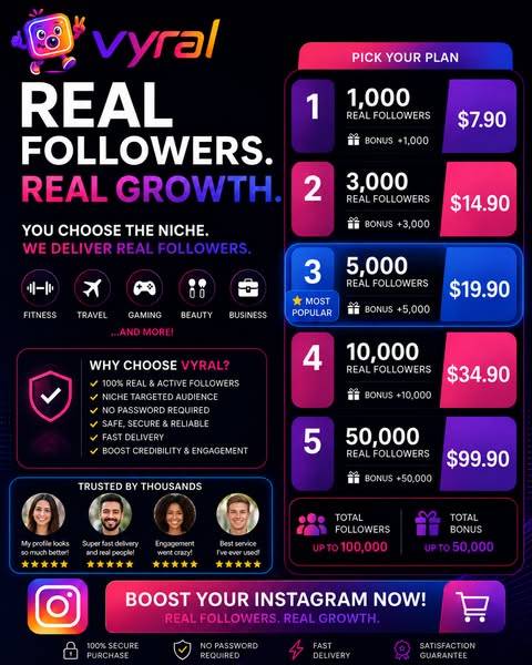 Vyral — Real Instagram Followers in 24h