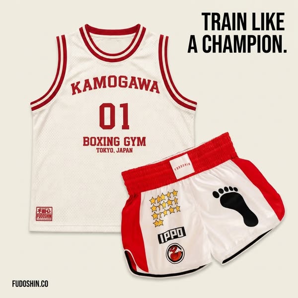 IPPO Fight Kit