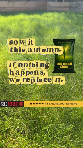 Lawn Seed for Every Garden
