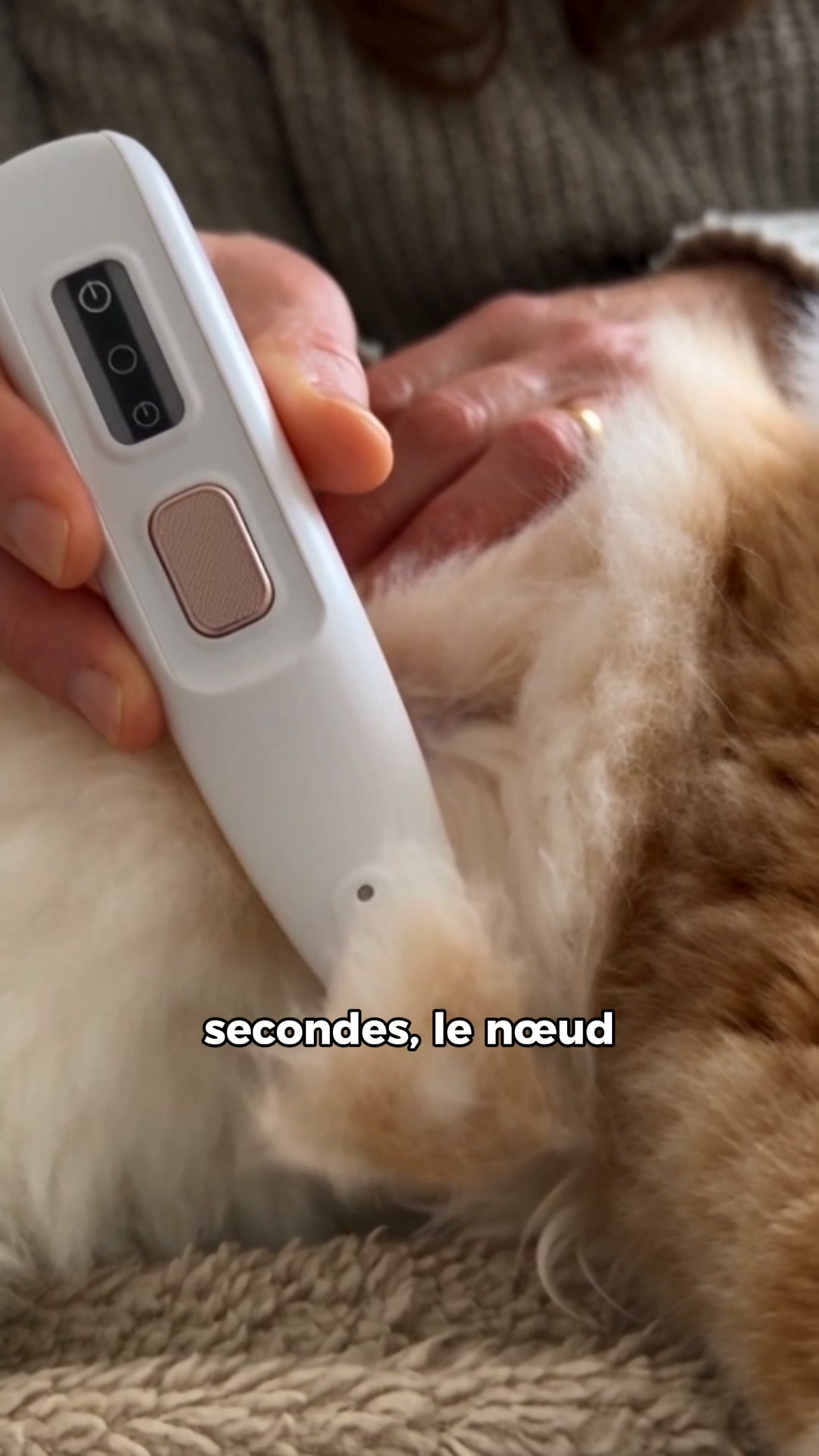 4.8 · +10 000 chats sauvés