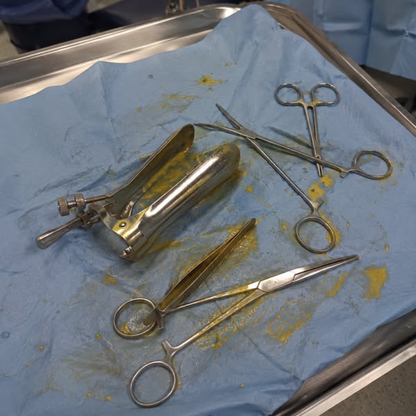 Cut bladder leaks naturally
