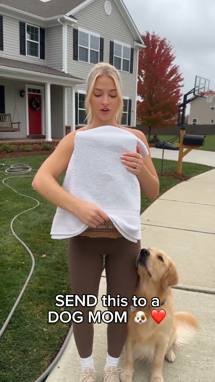 The Ultimate Waterproof Dog Leg Boots