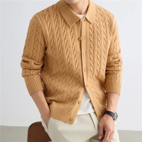 The cardigan with a shirt collar.