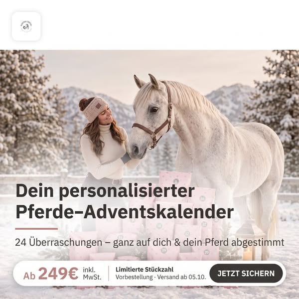 Pferd & Reiter Adventskalender