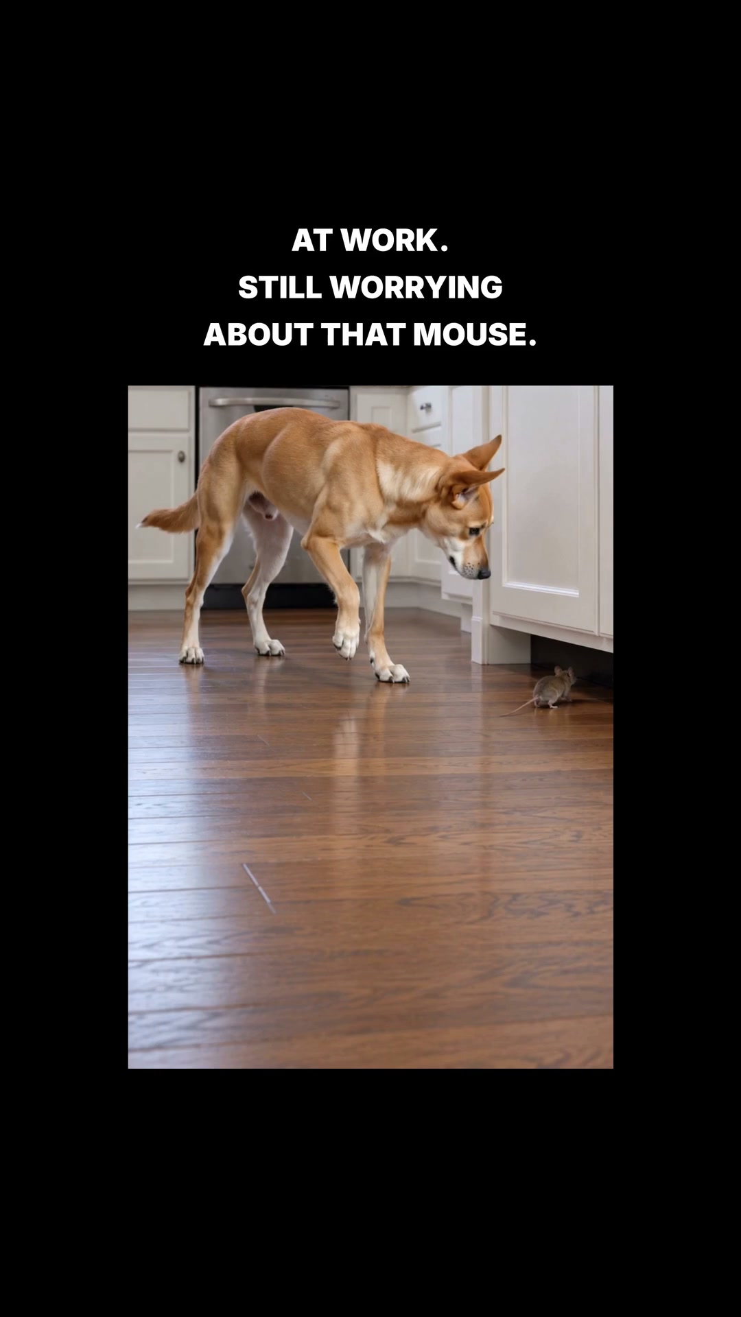 Leaving for Work After Seeing a Mouse?
