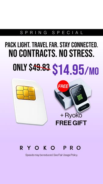 Never Pay Crazy Roaming Fees Again