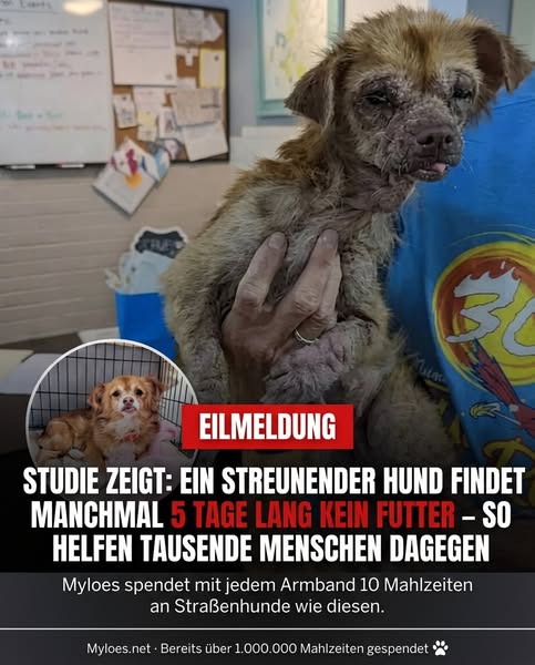 Jedes Armband rettet Leben